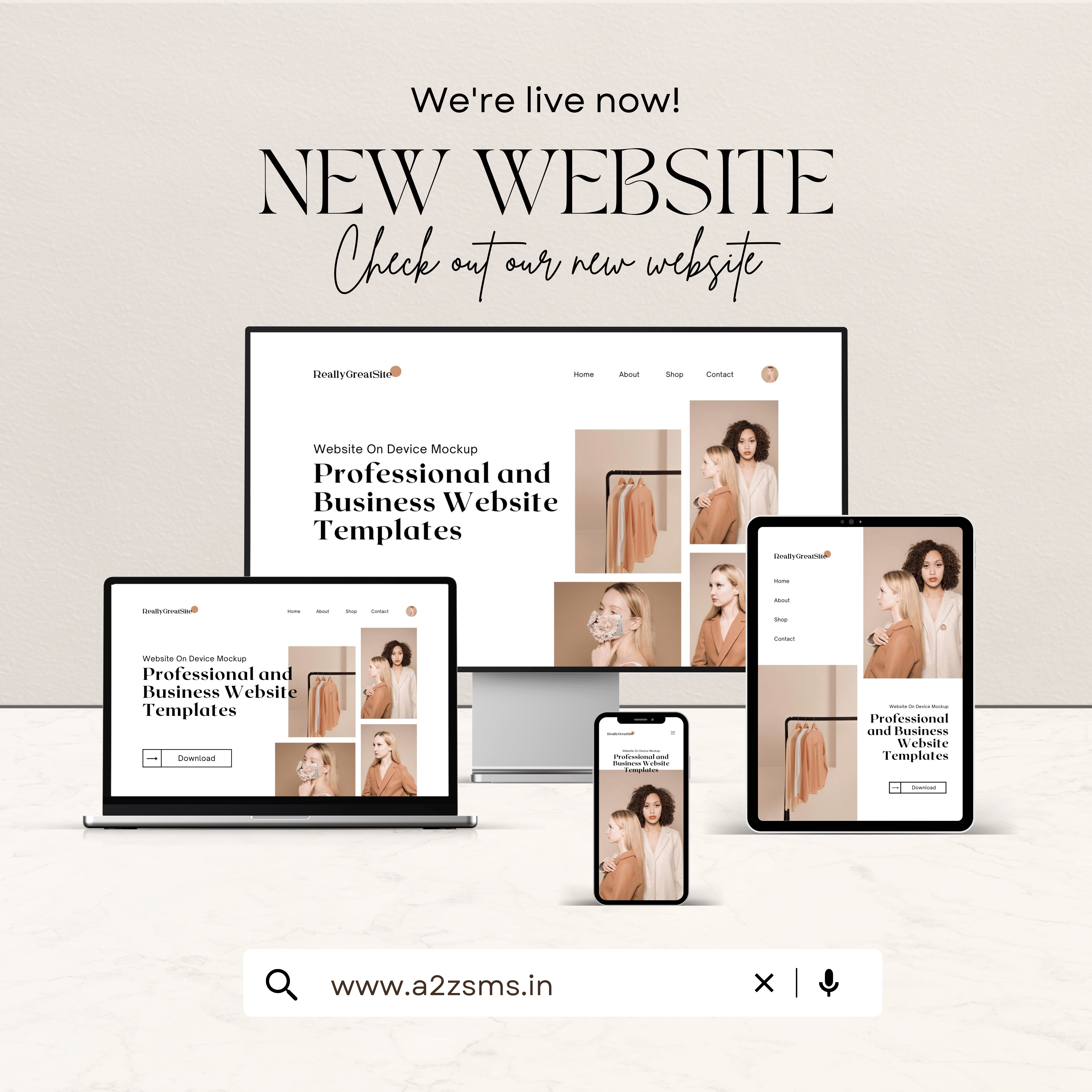 Professional Web Design and Development Services