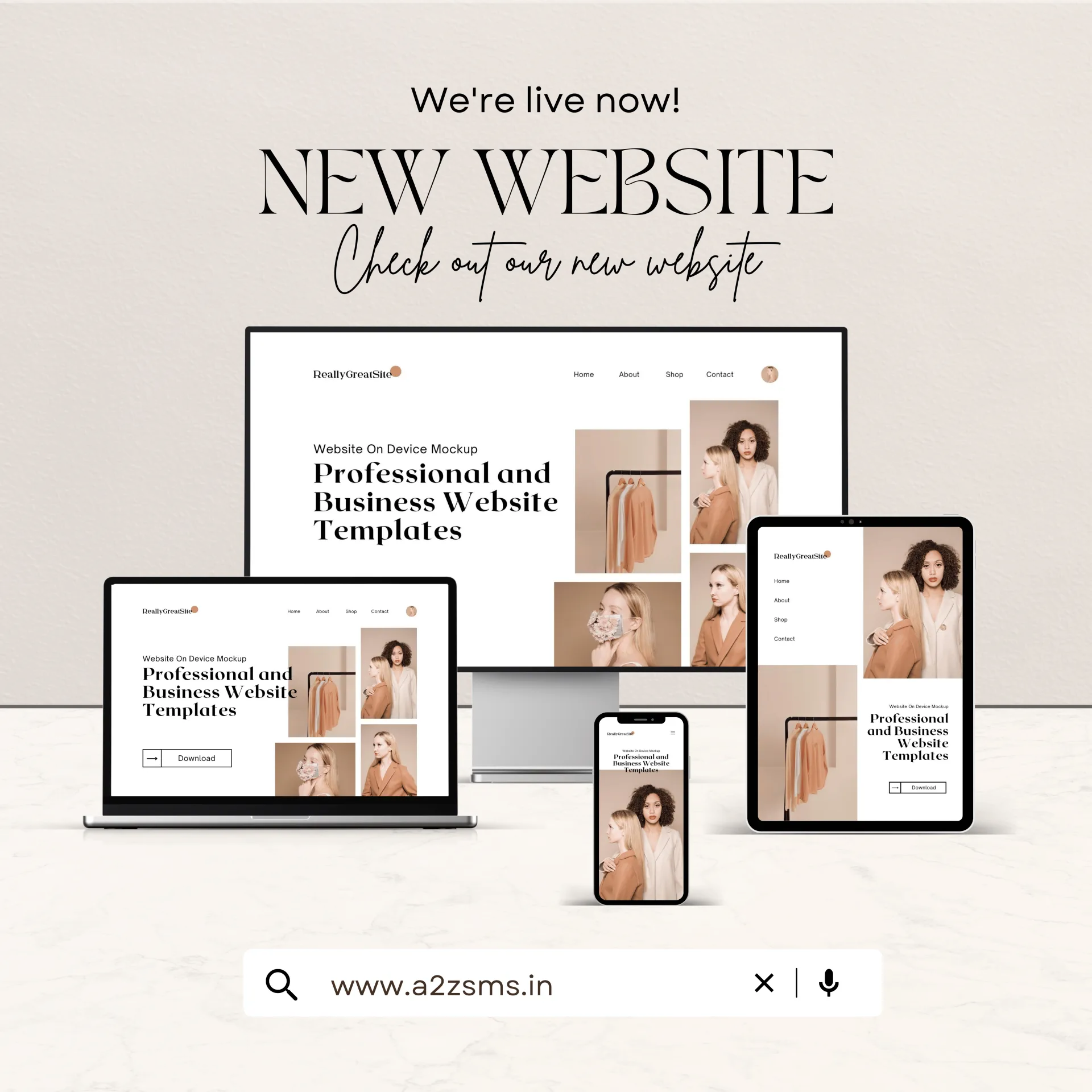 Professional Web Design and Development Services